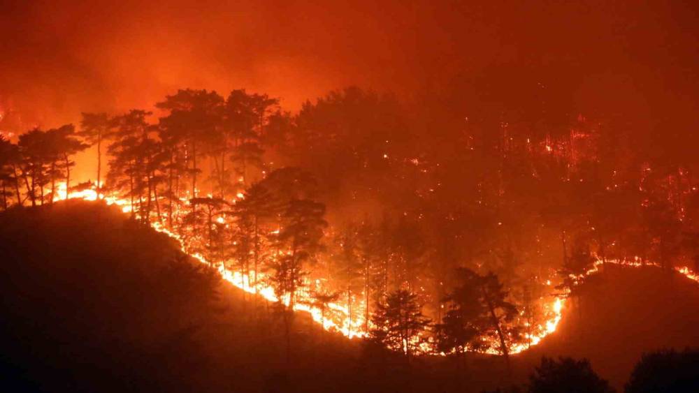 Muğla’da yaz sezonunda günde ortalama 6 yangına müdahale edildi
