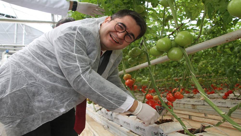 Jeotermal serada yılın ilk hasadı yapıldı
