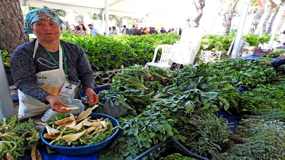 Alaçatı Ot Festivali stant başvuruları başladı
