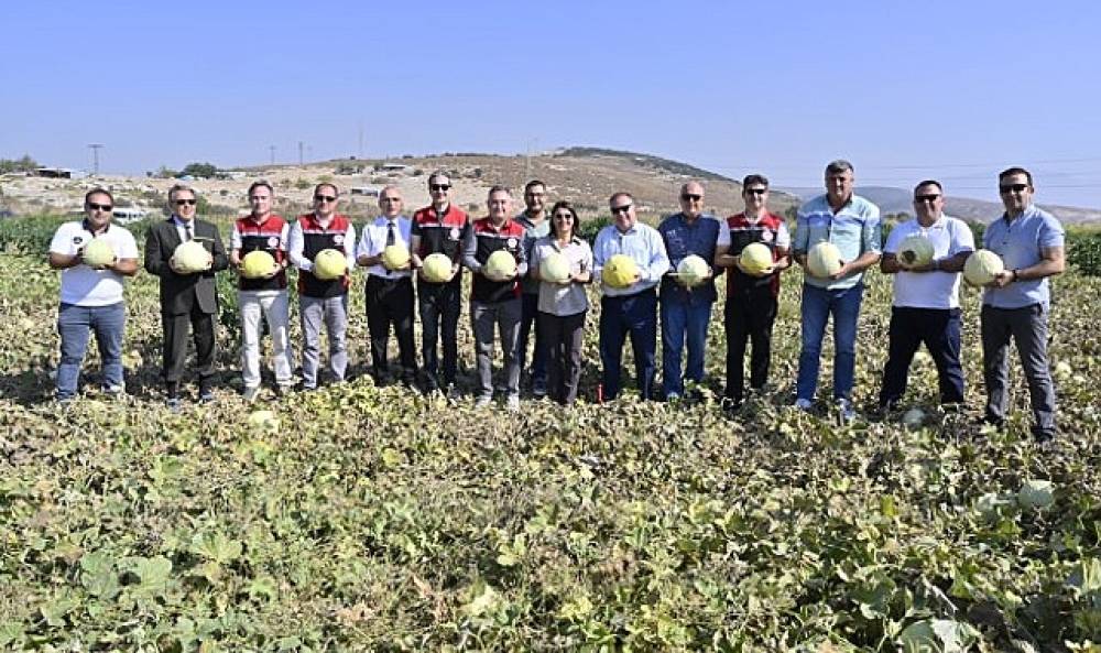 Foça'da Geleneksel Kavun Hasat Şenliği Coşkuyla Kutlandı