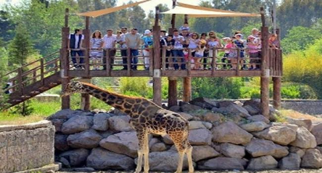 Asgari Ücrete Yüzde 30 Zam, Doğal Yaşam Parkı'na Yüzde 200 Zam