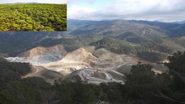 Bergama Kozak Yaylası’nda Altın Arama Sondajları: İzin ve Gerçekleşen Sondaj Sayısı Nedir?