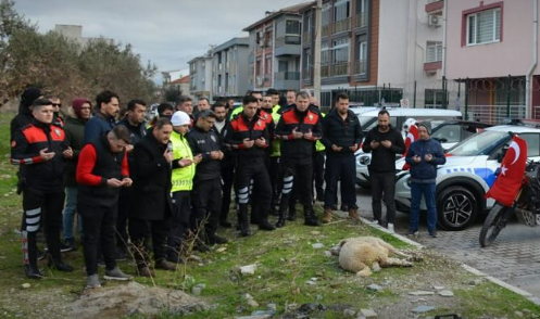 Bergama’da Yunus Timleri Göreve Başladı: Güvenlikte Yeni Dönem