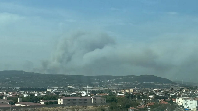 Foça'daki Orman Yangını Kontrol Altına Alındı