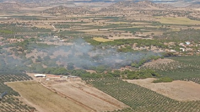 İzmir Dikili’deki Yangın Hızla Kontrol Altına Alındı