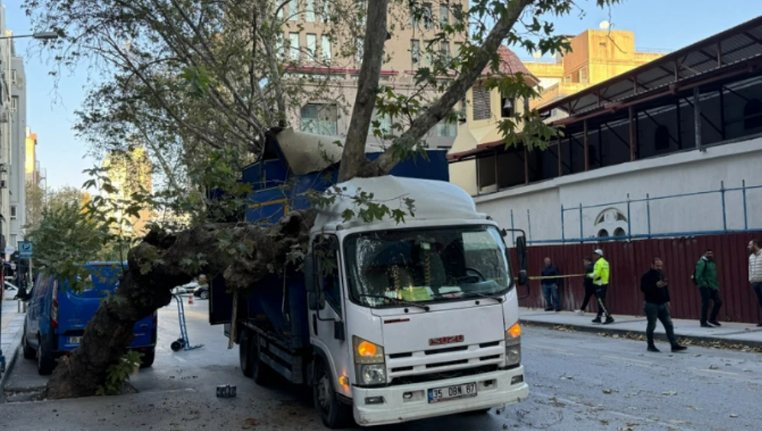 İzmir Konak’ta Ağaç Devrildi: Kamyonet Hasar Gördü