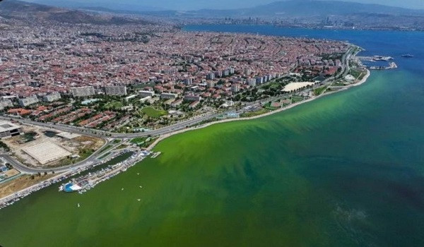  İzmir Körfezi'nde Su Renk Değiştirdi: Vatandaşlar Tedirgin