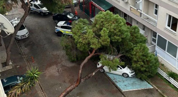 İzmir’de Fırtına Tehlikesi: Karşıyaka’da Devrilen Ağaç Otomobili Hurdaya Çevirdi