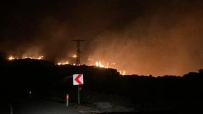 Seferihisar Akarca Bölgesinde Yangın Çıktı, Havadan Müdahale Bekleniyor