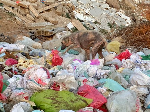 Vahşi Depolama Skandalı: AK Parti’den Kemalpaşa Belediye Başkanı’na Sert Eleştiri